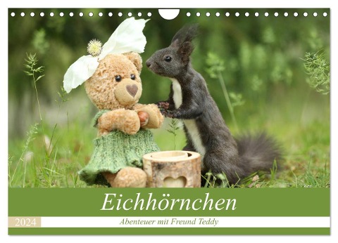 Eichhörnchen - Abenteuer mit Freund Teddy (Wandkalender 2024 DIN A4 quer), CALVENDO Monatskalender - Birgit Cerny