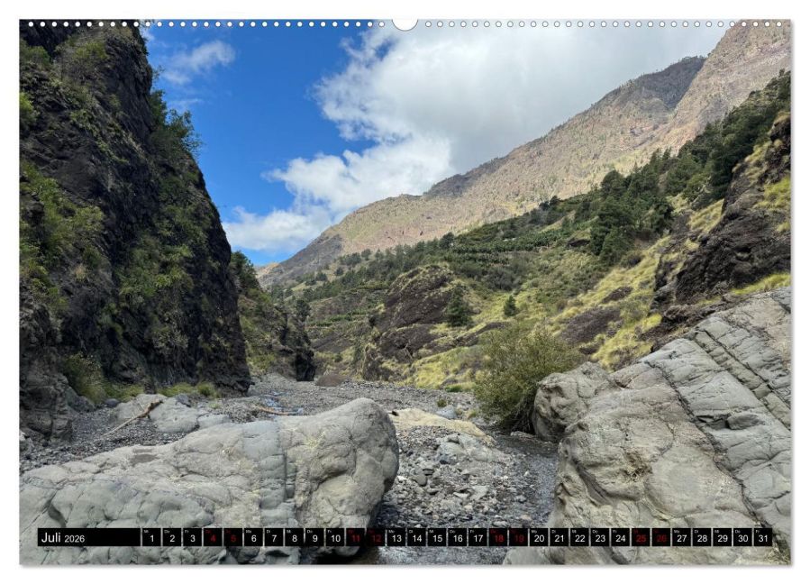 InsideView 11
