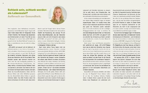 InsideView 2