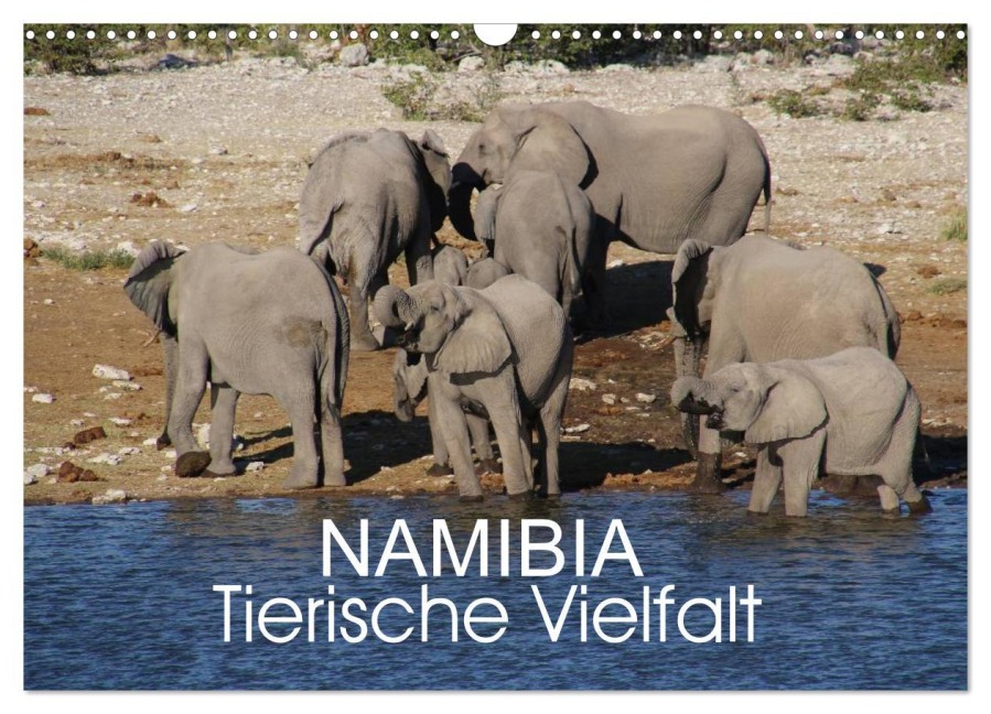 Namibia - Tierische Vielfalt (Wandkalender 2026 DIN A3 quer), CALVENDO Monatskalender - Thomas Morper
