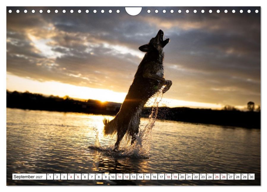 InsideView 14
