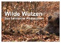 Wilde Wutzen. Das heimische Wildschwein (Wandkalender 2024 DIN A2 quer), CALVENDO Monatskalender - Alexander von Düren