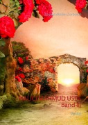 Cover-Bild zum Titel 'Halici Mahmud Usta Band III' von 'Zeynel Abidin Zorbulut'