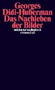 Cover-Bild zum Titel 'Das Nachleben der Bilder' von 'Georges Didi-Huberman'