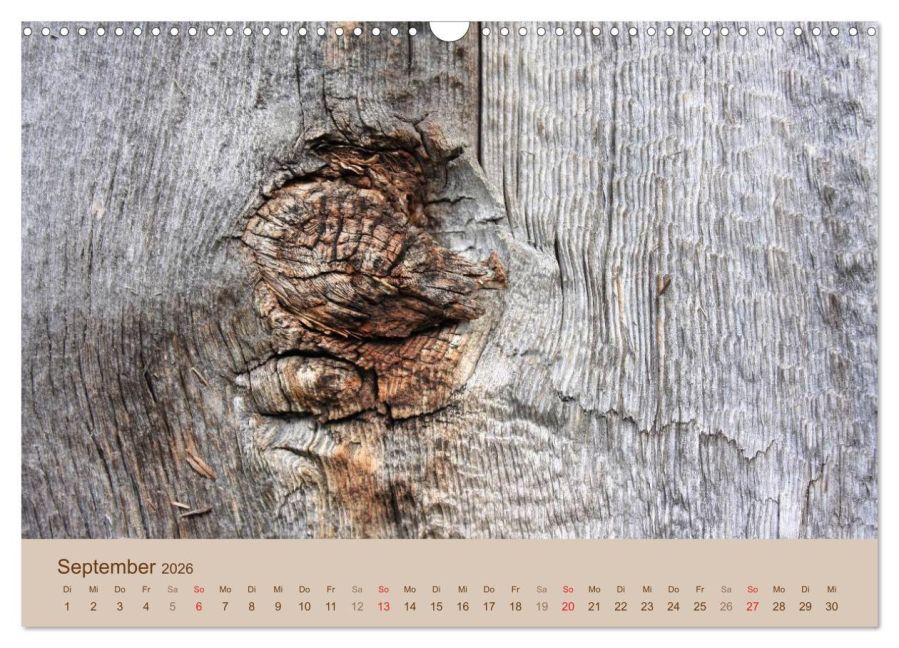 InsideView 14