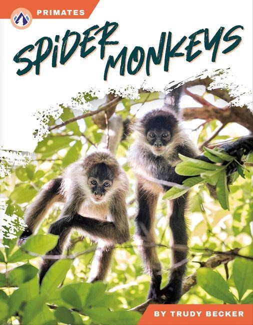 Spider Monkeys - Trudy Becker