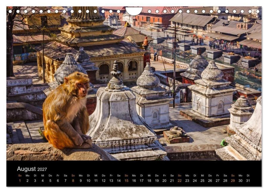 InsideView 13
