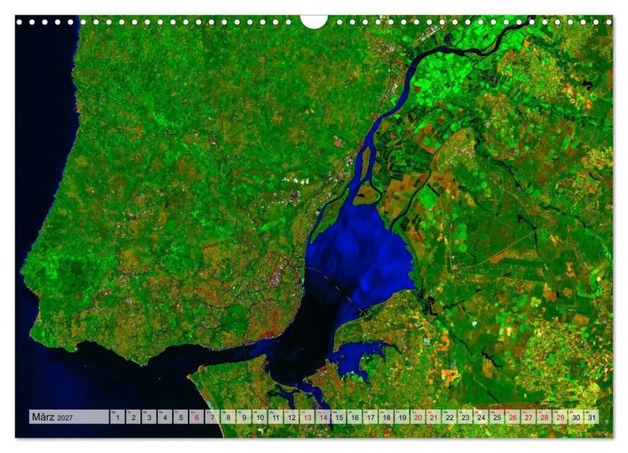 InsideView 8