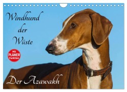 Cover-Bild zum Titel 'Windhund der Wüste - Der Azawakh (Wandkalender 2026 DIN A4 quer), CALVENDO Monatskalender' von 'Sigrid Starick'