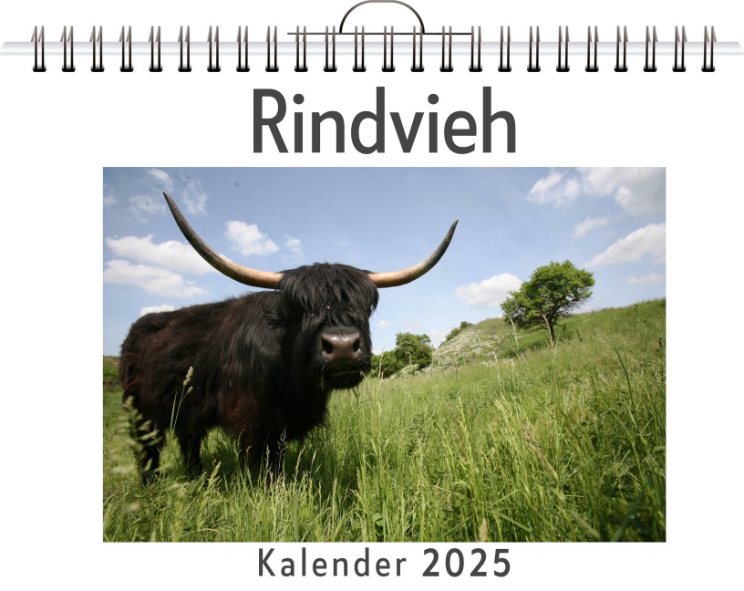 Rindvieh - (Wandkalender 2025, Kalender DIN A4 quer, Monatskalender im Querformat mit Kalendarium, das perfekte Geschenk) - Felix Müller