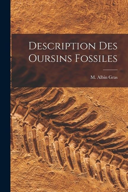 Description Des Oursins Fossiles - M. Albin Gras