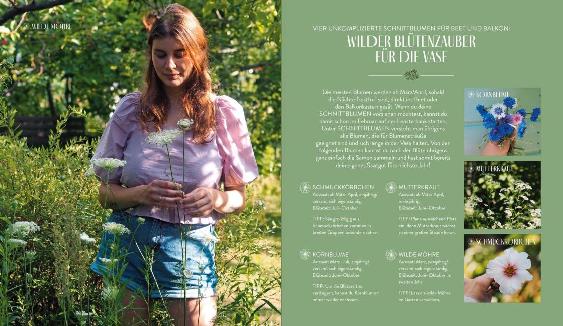 InsideView 5