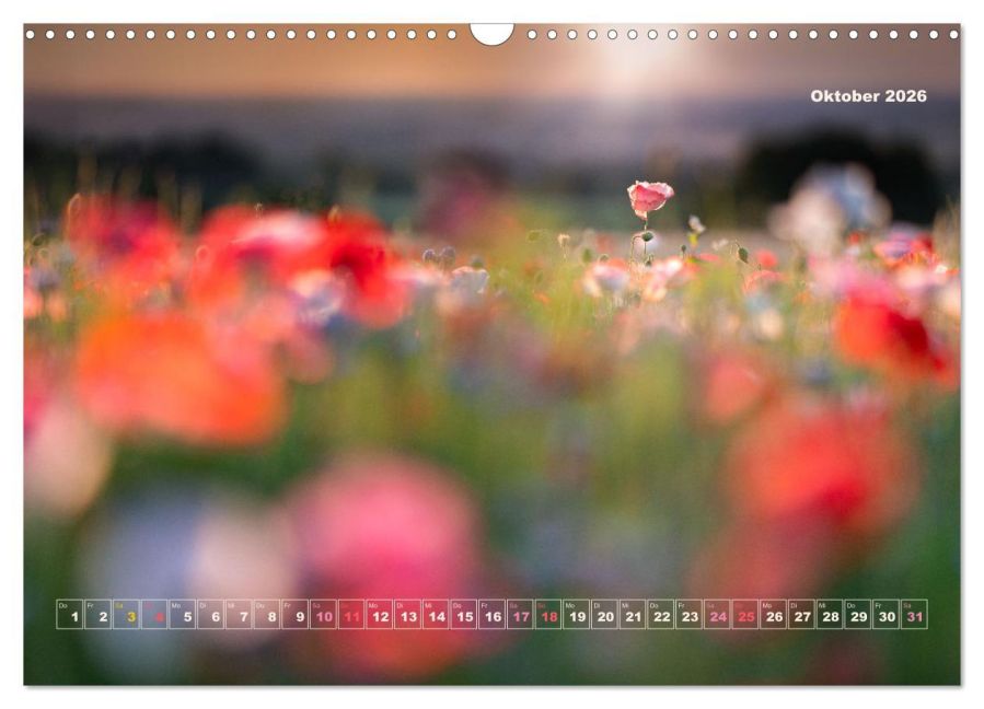 InsideView 2