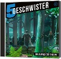 Im Urwald der Träume - Folge 31 - Tobias Schuffenhauer, Tobias Schier