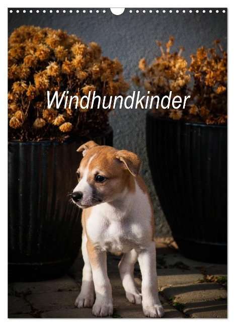 Windhundkinder (Wandkalender 2025 DIN A3 hoch), CALVENDO Monatskalender - Ula Redl