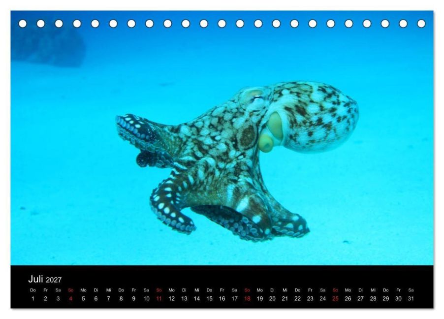 InsideView 12