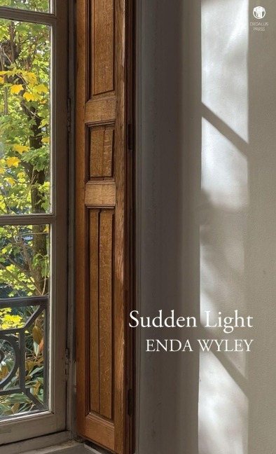 Sudden Light - Enda Wyley