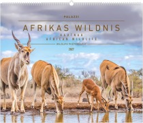 Cover-Bild zum Titel 'Hautnah - Afrikas Wildnis 2027' von ''