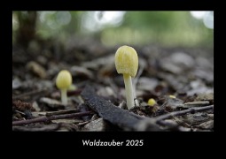 Cover-Bild zum Titel 'Waldzauber 2025 Fotokalender DIN A3' von 'Tobias Becker'