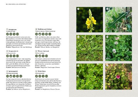 InsideView 4