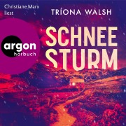 Cover-Bild zum Titel 'Schneesturm' von 'Tríona Walsh'