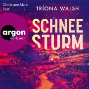 Cover-Bild zum Titel 'Schneesturm' von 'Tríona Walsh'