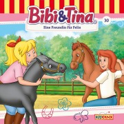 Cover-Bild zum Titel 'Eine Freundin für Felix' von 'Ulf Tiehm'