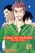 Cover-Bild zum Titel 'Kimi Ni Todoke: From Me to You, Vol. 19' von 'Karuho Shiina'