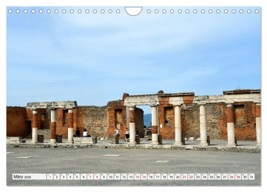 InsideView 8