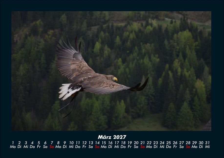 InsideView 7