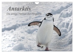 Cover-Bild zum Titel 'Antarktis, die eisige Heimat der Pinguine (Wandkalender 2026 DIN A4 quer), CALVENDO Monatskalender' von 'Michèle Junio'