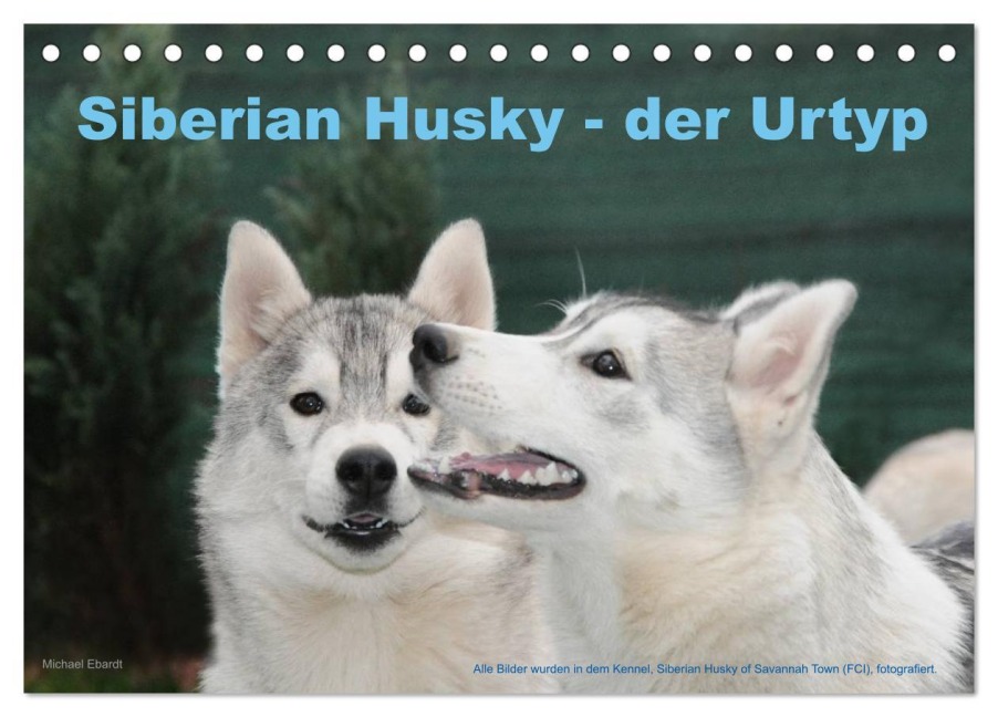 Siberian Husky - der Urtyp (Tischkalender 2026 DIN A5 quer), CALVENDO Monatskalender - Michael Ebardt