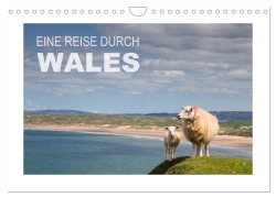 Cover-Bild zum Titel 'Wales / AT-Version (Wandkalender 2026 DIN A4 quer), CALVENDO Monatskalender' von 'Ingrid Steiner & Günter Hofmann'