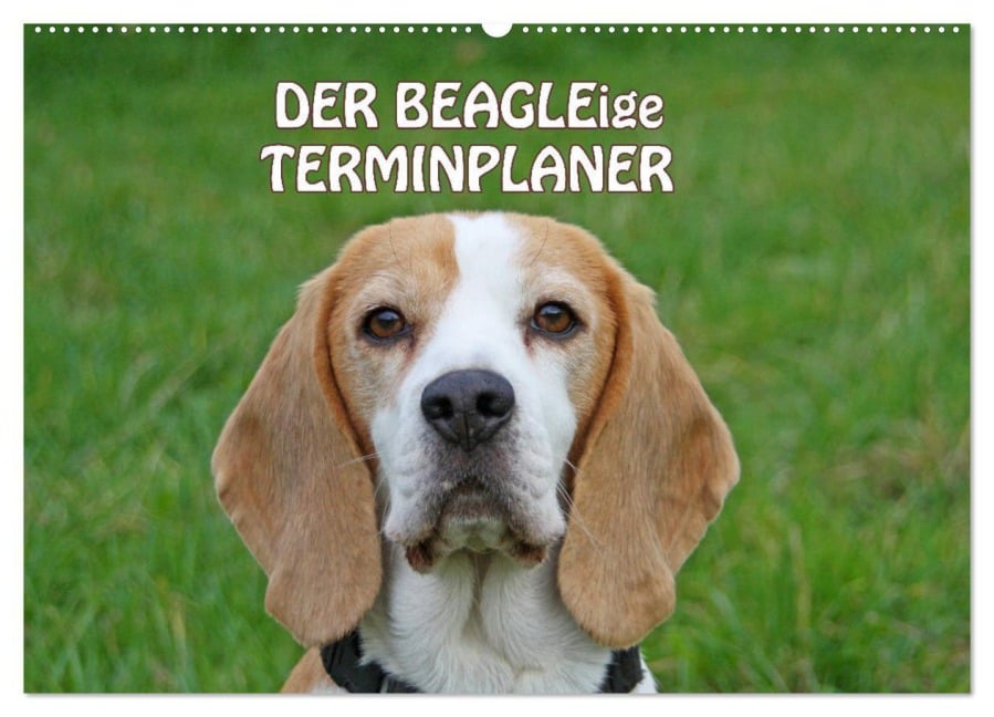 DER BEAGLEige TERMINPLANER (Wandkalender 2026 DIN A2 quer), CALVENDO Monatskalender - Antje Lindert-Rottke
