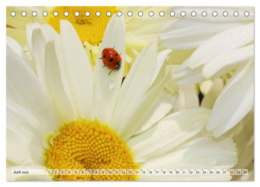 InsideView 11