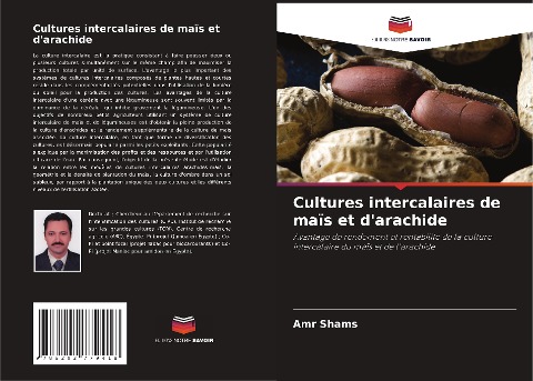 Cultures intercalaires de maïs et d'arachide - Amr Shams