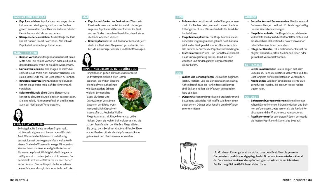 InsideView 6