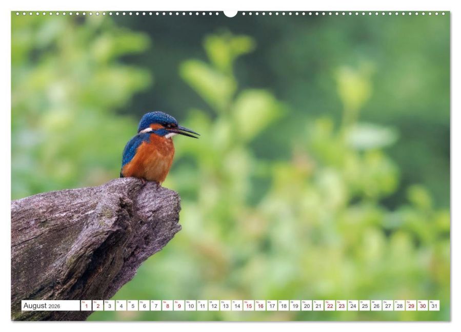 InsideView 13