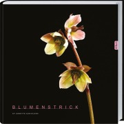 Cover-Bild zum Titel 'Blumenstrick' von 'Annette Danielsen'