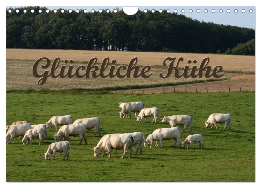 Glückliche Kühe (Wandkalender 2026 DIN A4 quer), CALVENDO Monatskalender - Antje Lindert-Rottke