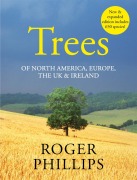 Cover-Bild zum Titel 'Trees' von 'Roger Phillips'