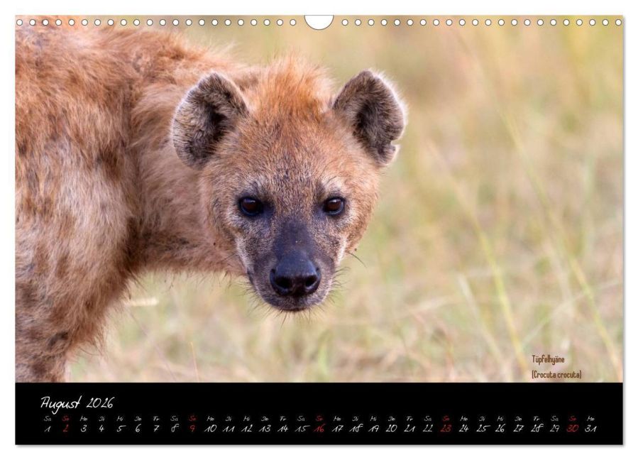 InsideView 13