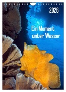 Cover-Bild zum Titel 'Ein Moment unter Wasser (Wandkalender 2026 DIN A4 hoch), CALVENDO Monatskalender' von 'Henry Jager'
