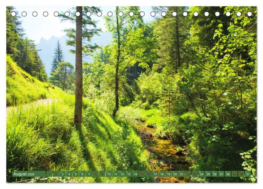InsideView 13