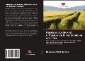 Cover-Bild zum Titel 'Réseaux sociaux et diffusion de la technologie agricole' von 'Dessalegn Molla Ketema'