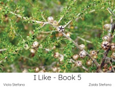 Cover-Bild zum Titel 'I Like - Book 5' von 'Zaida Stefano, Viola Stefano'