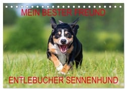 Mein bester Freund - Entlebucher Sennenhund (Tischkalender 2026 DIN A5 quer), CALVENDO Monatskalender - 