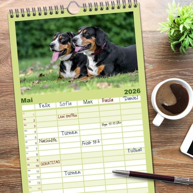 InsideView 9