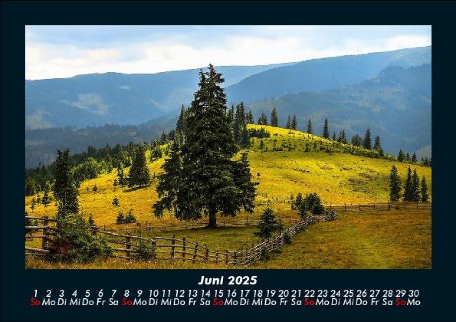 InsideView 10