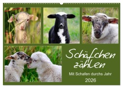 Cover-Bild zum Titel 'Schäfchen zählen - Mit Schafen durchs Jahr (Wandkalender 2026 DIN A2 quer), CALVENDO Monatskalender' von 'Sabine Löwer'